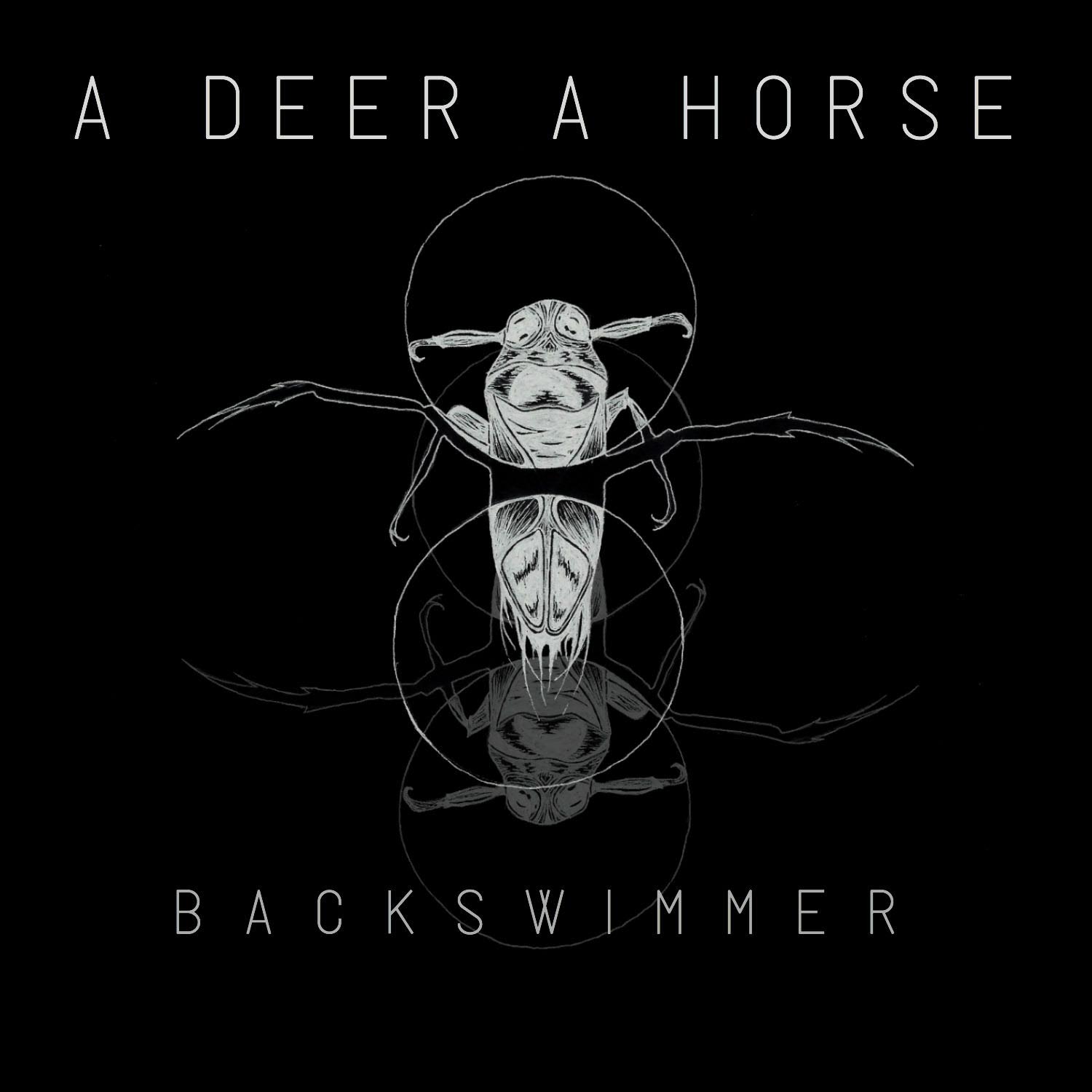 Backswimmer - A Deer A Horse