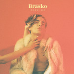 Take Me - Brasko single art