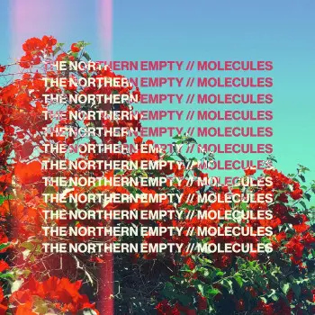 Molecules - The Northern Empty