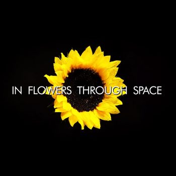 In Flowers Through Space - E Scott Lindner