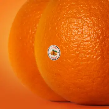 Sundays- Emotional Oranges