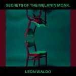SECRETS OF THE MELANIN MONK - Leon Waldo