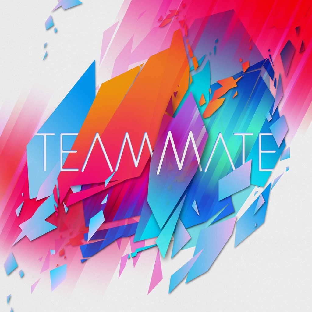 TeamMate - TeamMate