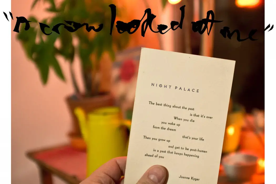 A Crow Looked At Me - Mount Eerie