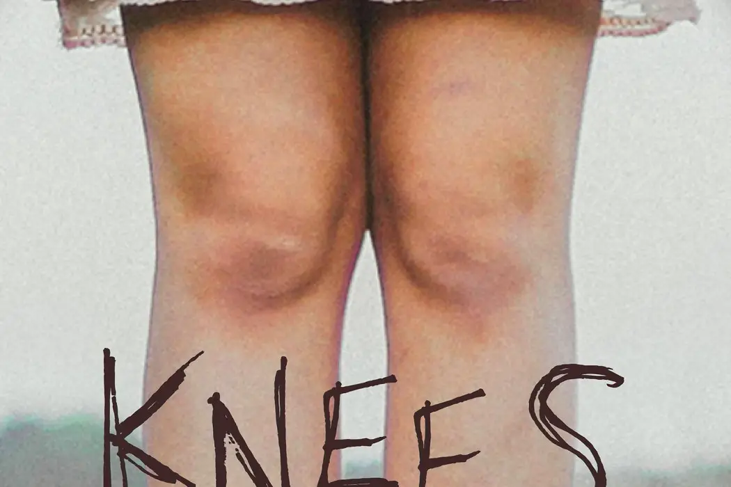 Knees - Mr. Carnivore