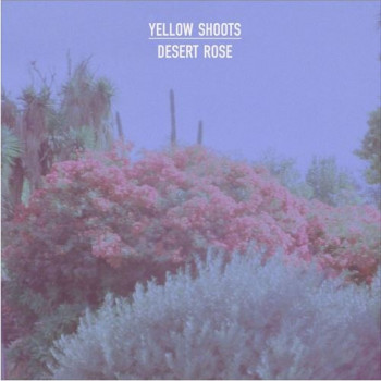 Yellow Shoots - Desert Rose
