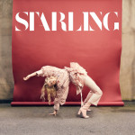 The Soul EP - Starling
