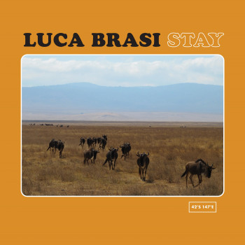 Stay - Luca Brasi