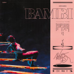 BAMBI album art - Hippo Campus