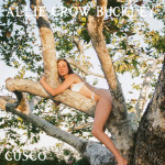Cusco - Allie Crow Buckley