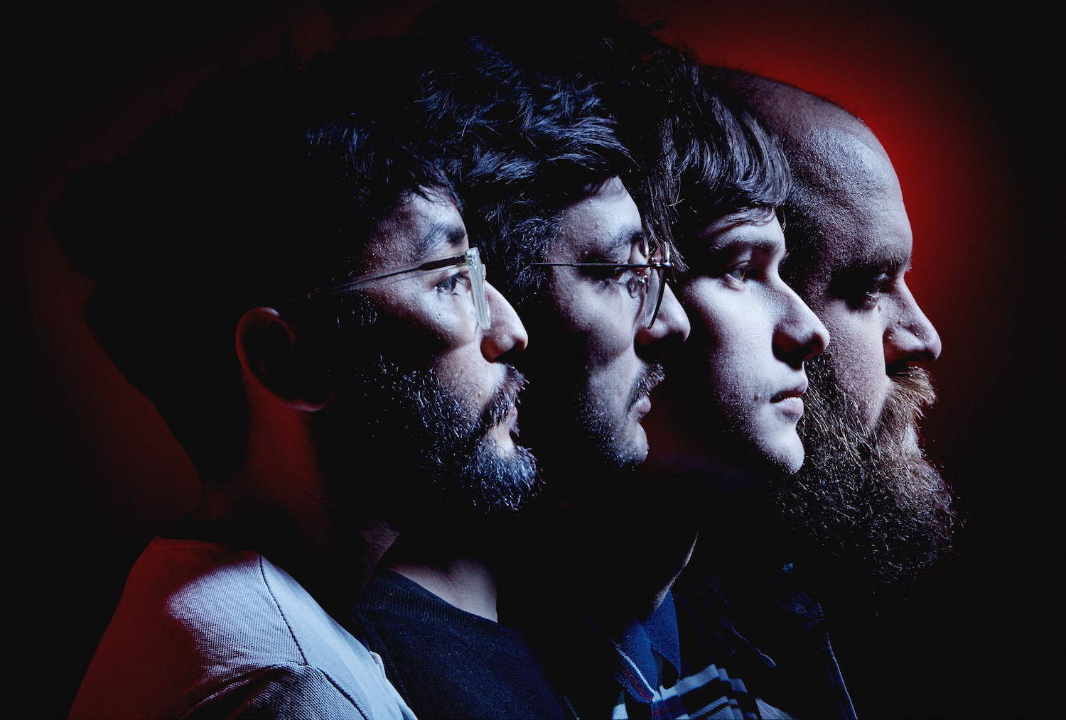 Foxing © Hayden Molinarolo