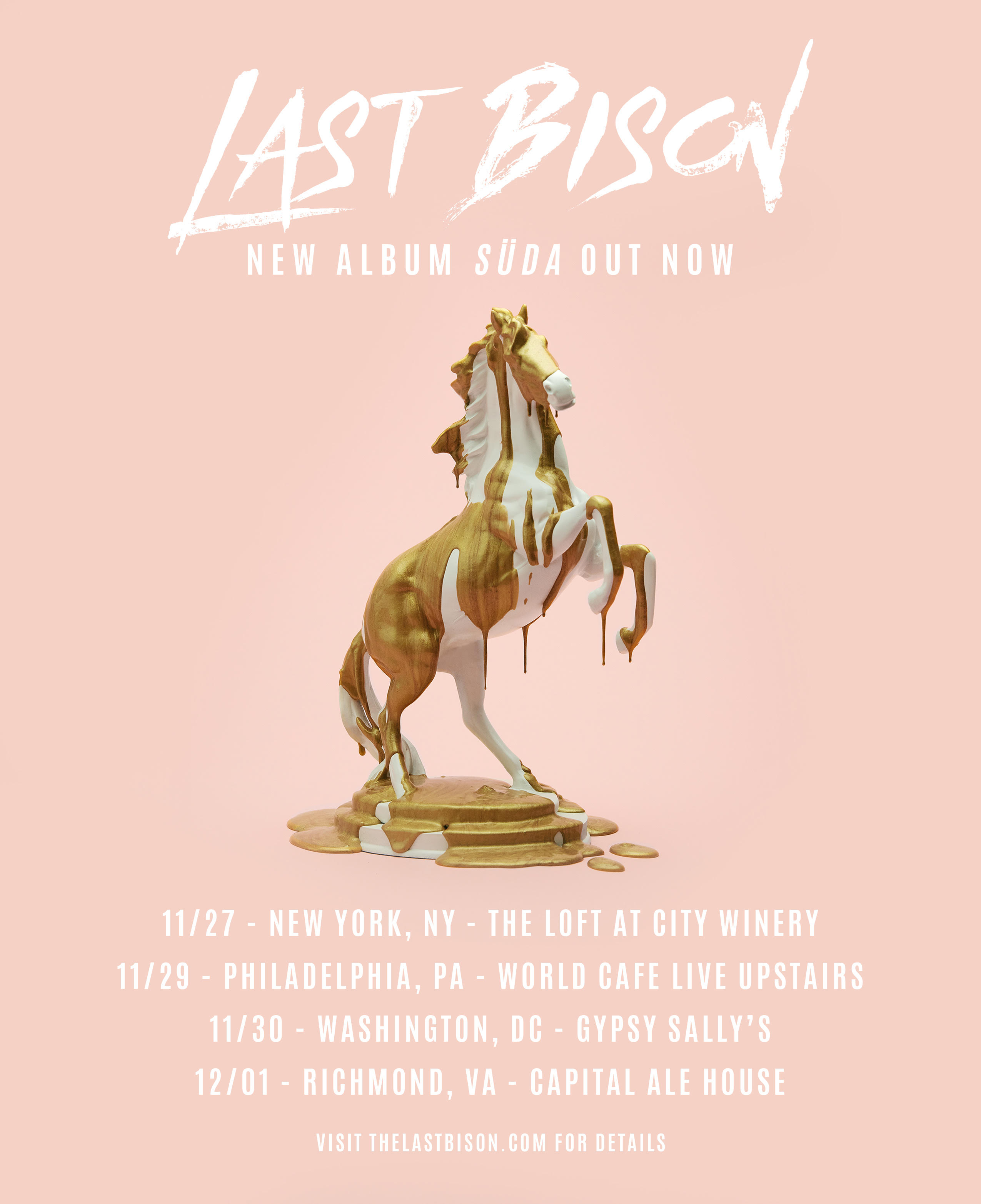 The Last Bison 2018 Tour Flyer