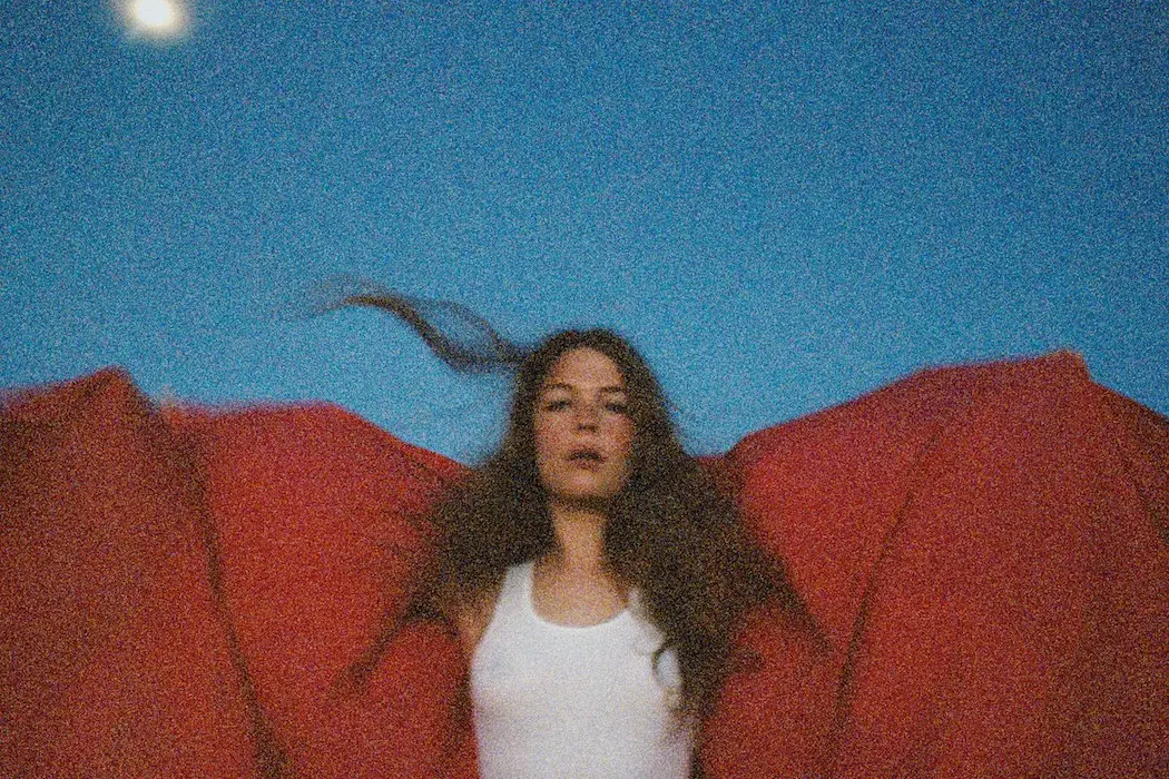 Heard It In A Past Life - Maggie Rogers Artwork