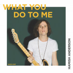 What You Do To Me - Hamish Anderson