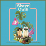 sister owls monster rally