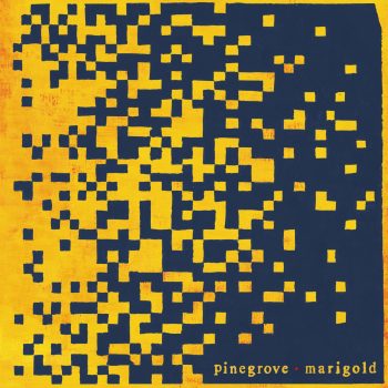 Marigold - Pinegrove