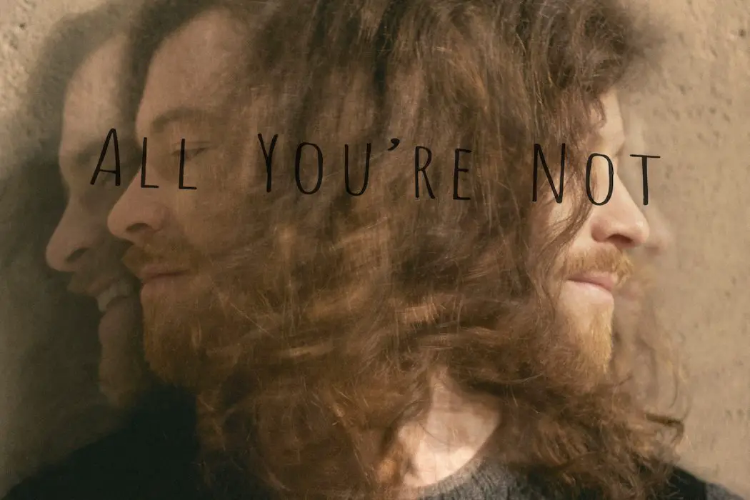 All You're Not - FERGUS
