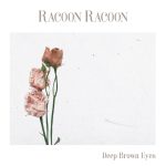 Deep Brown Eyes - Racoon Racoon