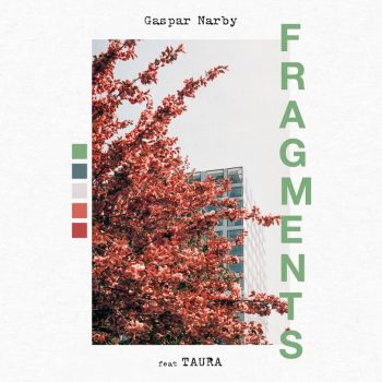 Fragments - Gaspar Narby