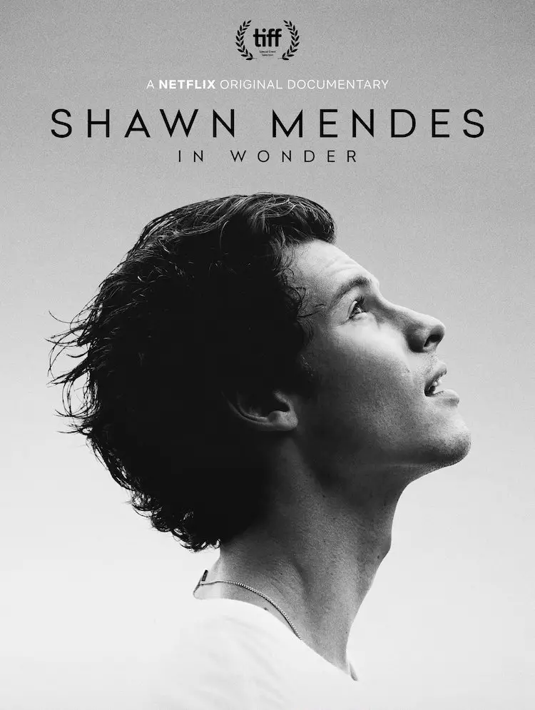 'Shawn Mendes: In Wonder' promotional poster