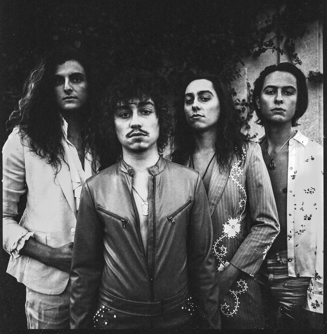 Greta Van Fleet © Alysse Gafkjen