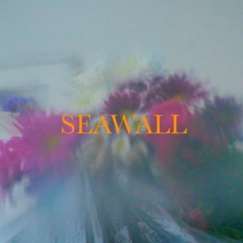 Seawall - Neev