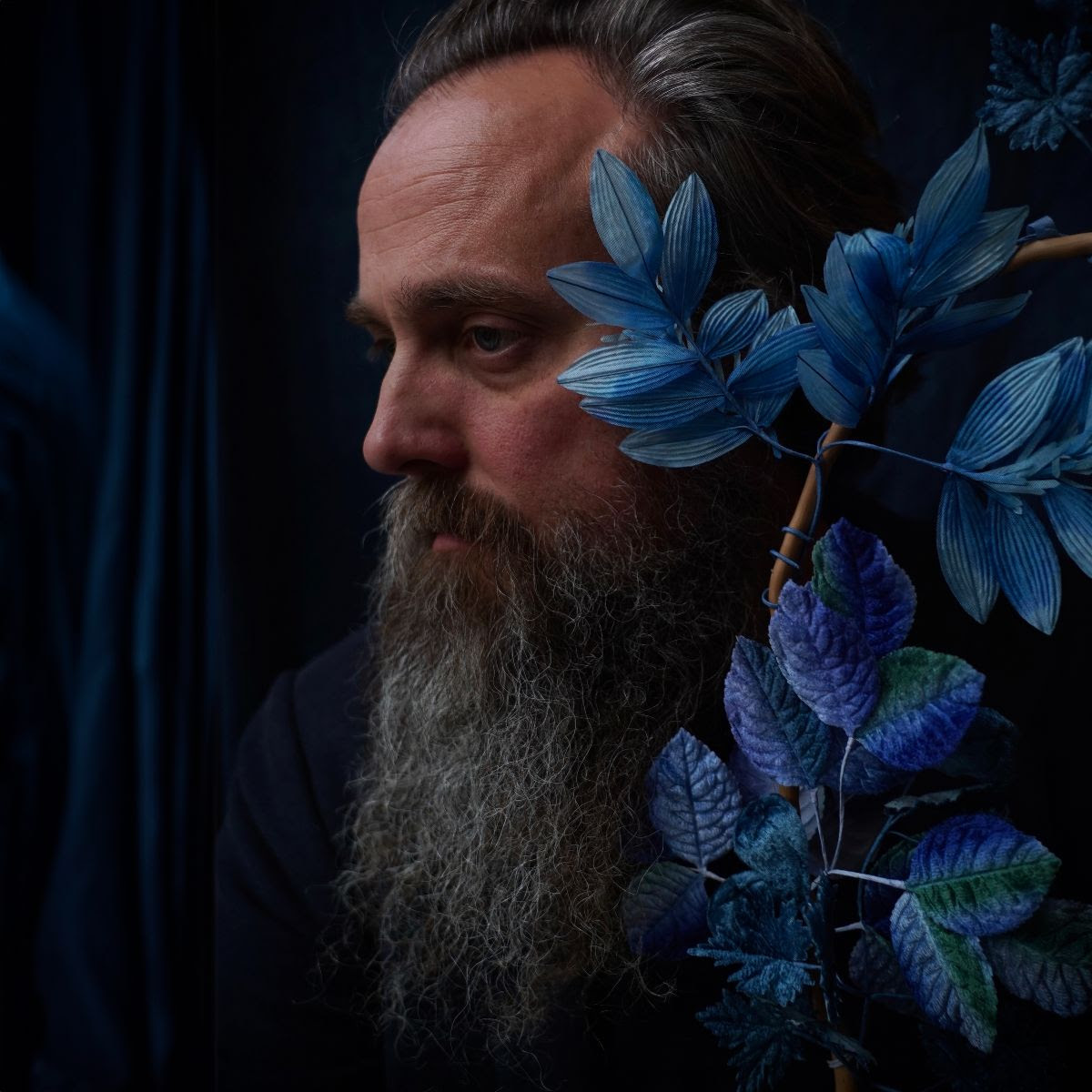 Iron & Wine © Kim Black