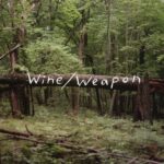 Wine/Weapon - Disaster Kid