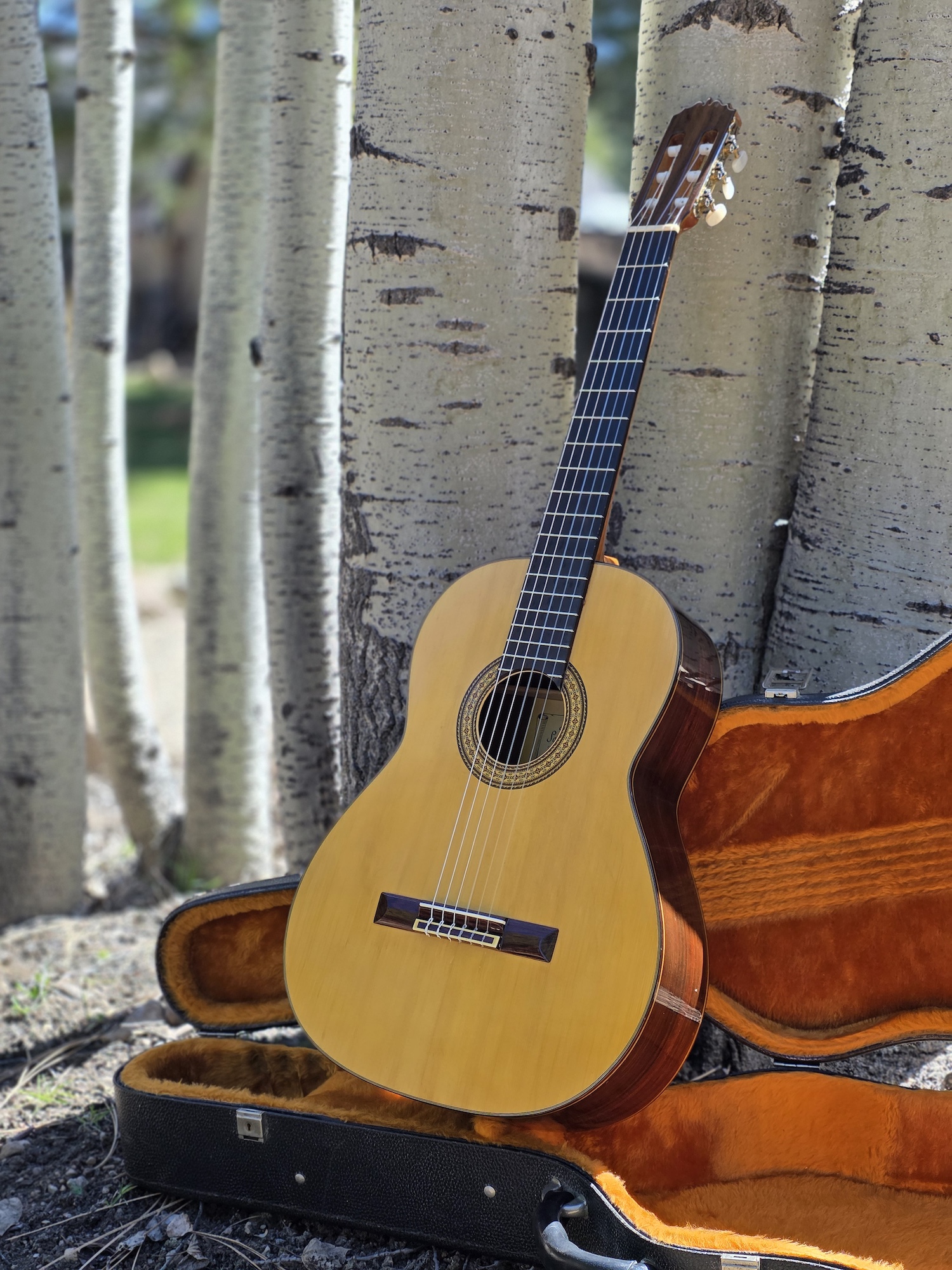 David Carradine's Spanish guitar
