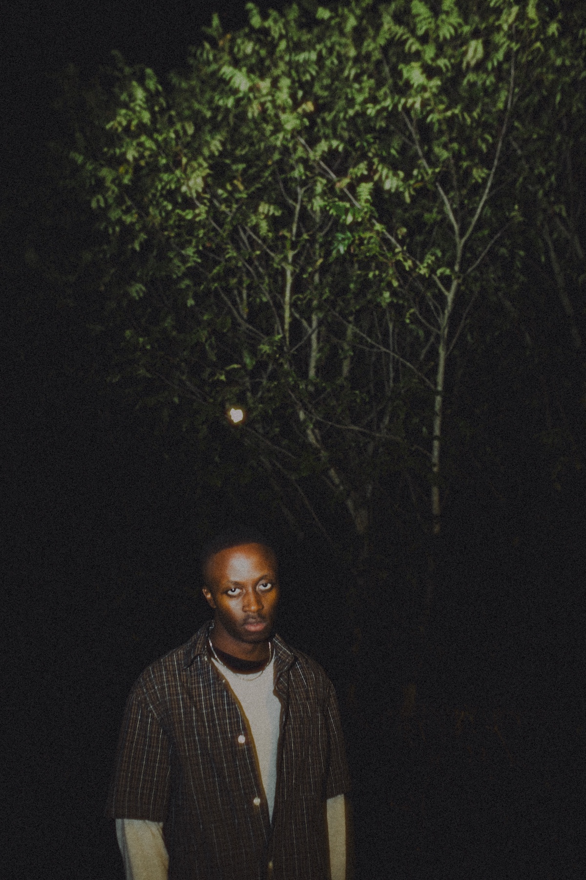 Nii © Harvey Pearson