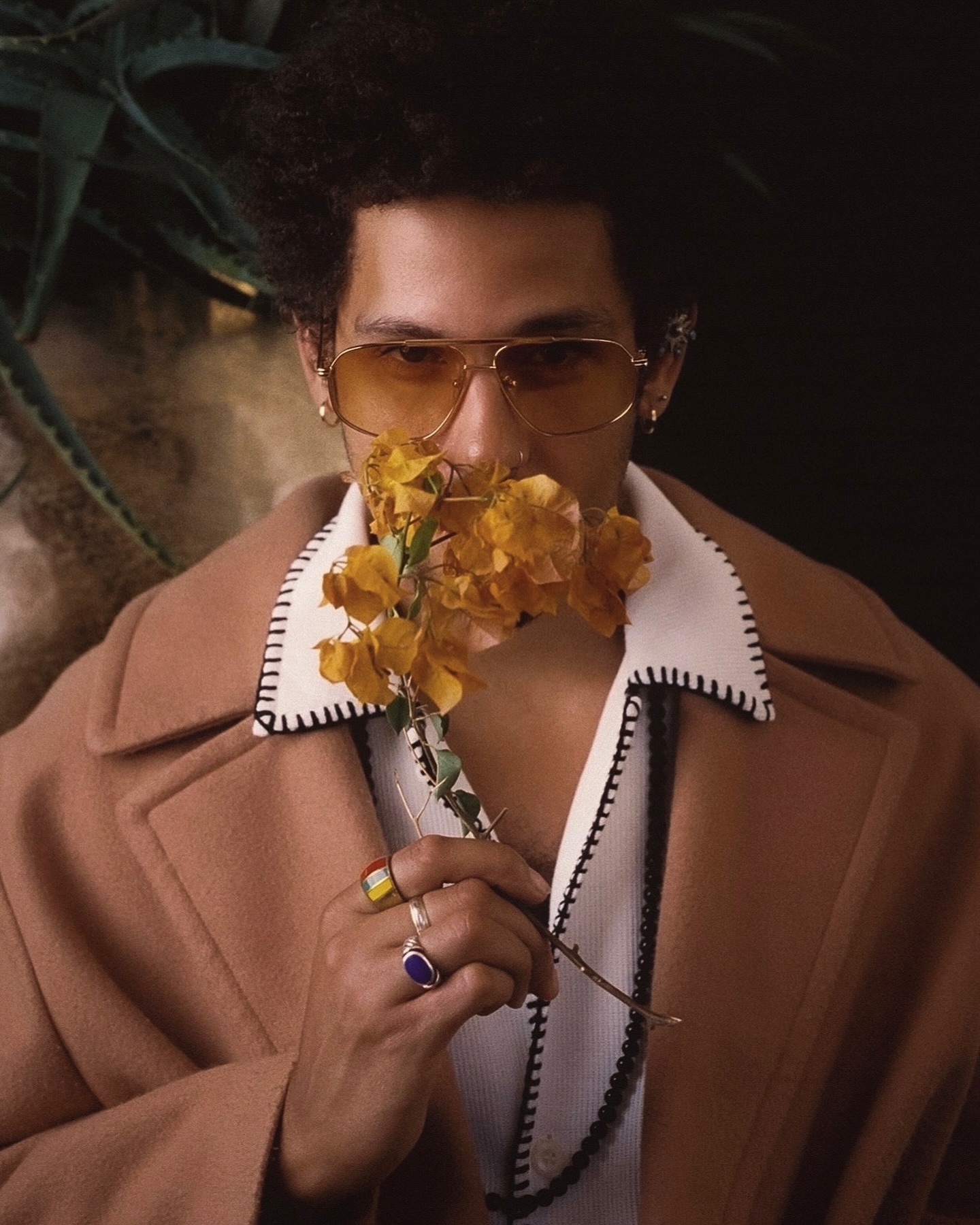NoMBe © 2025