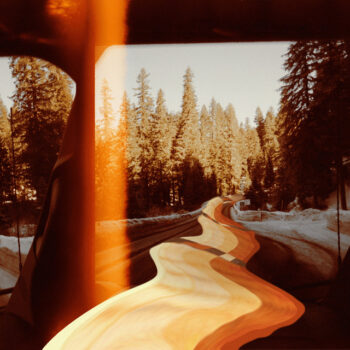 Passenger - Glitterfox